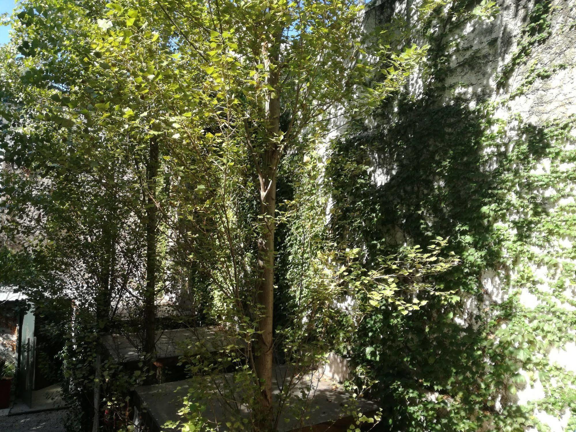 Feel Buenos Aires Apartments Luaran gambar